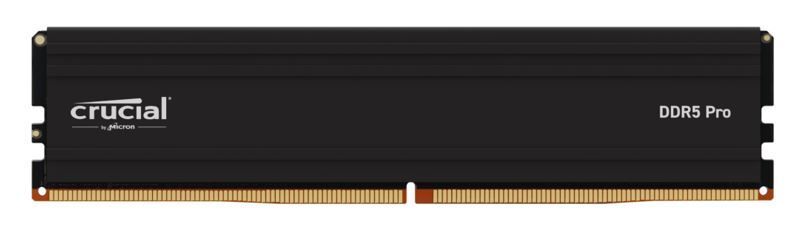 MICRON (CRUCIAL) Memory  CP16G64C38U5B