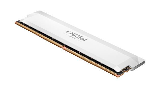 MICRON (CRUCIAL) Memory  CP16G64C38U5W