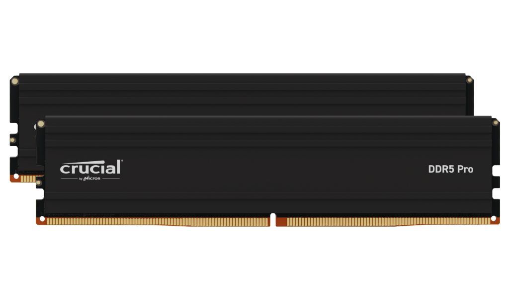 Micron (Crucial) Memory  CP2K32G56C46U5