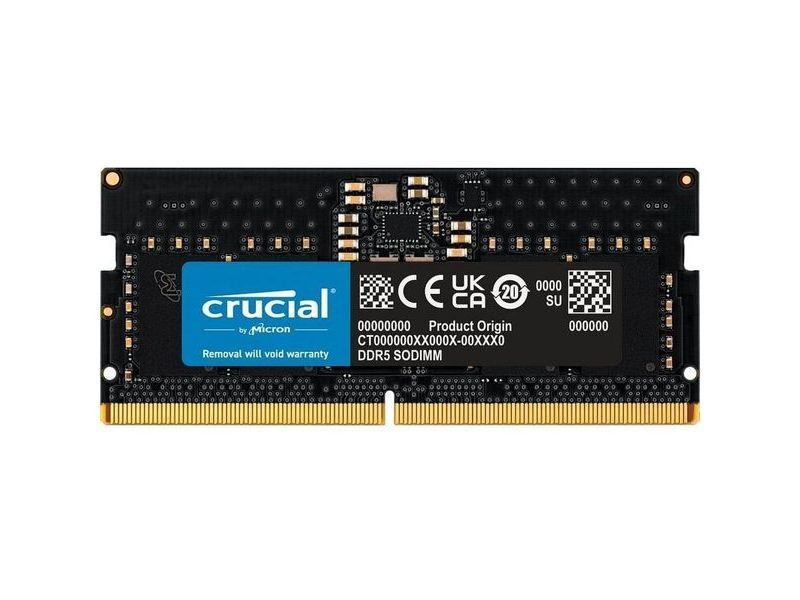 Micron (Crucial) Memory  CT8G52C42S5
